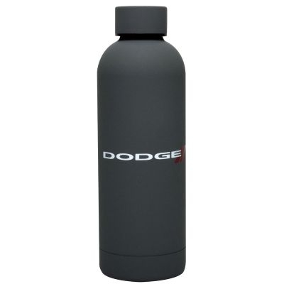 17 oz. Stainless Steel Bottle