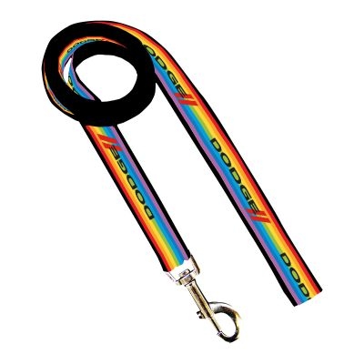 Rainbow Graphic Dog Leash